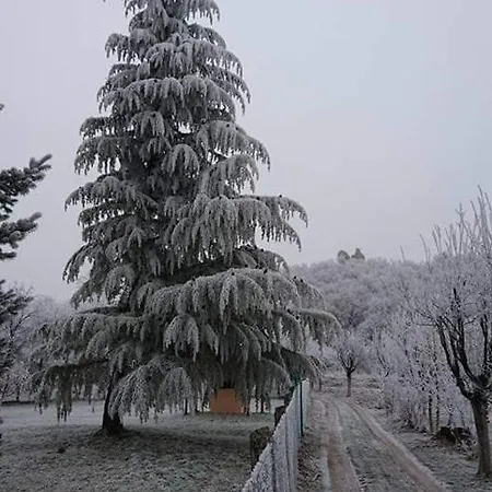 Kula House Vrdnik